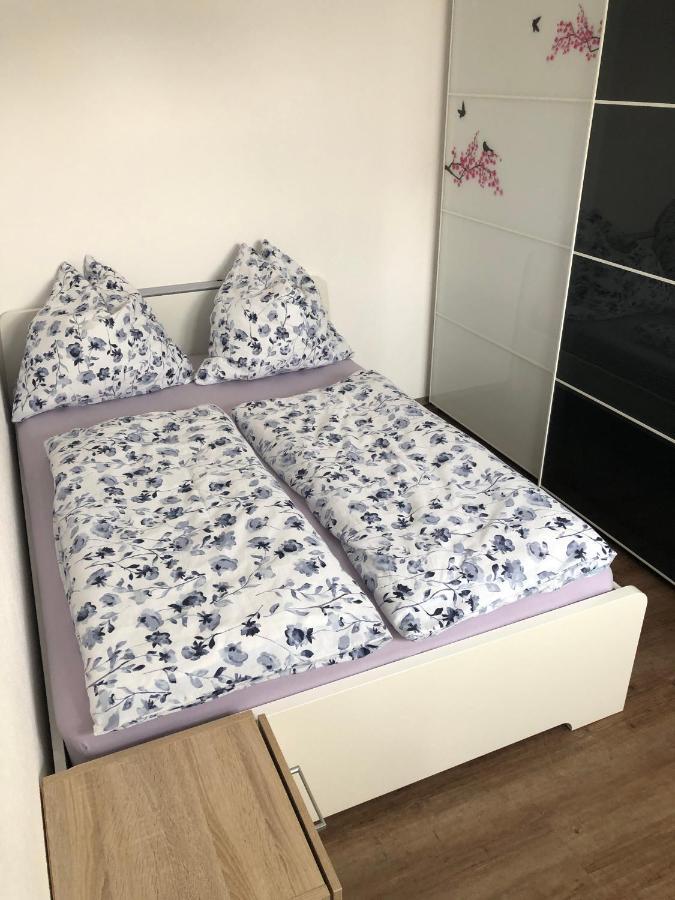 Janson Apartment Wiesenbach