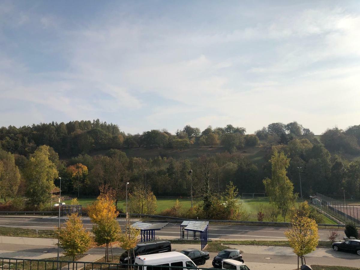 Janson Apartment Wiesenbach